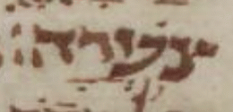 2 צערה.gif