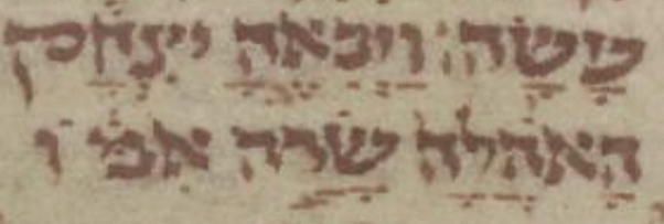 3 ויבאה.gif