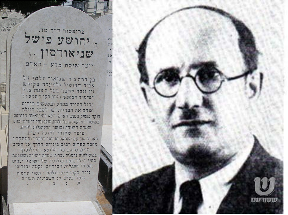 המחבר.png