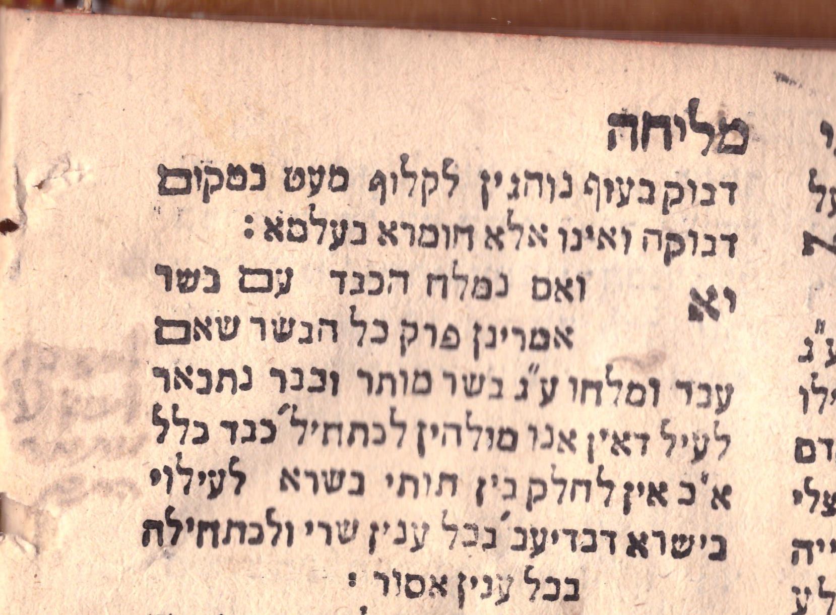 ליתא (1).jpg