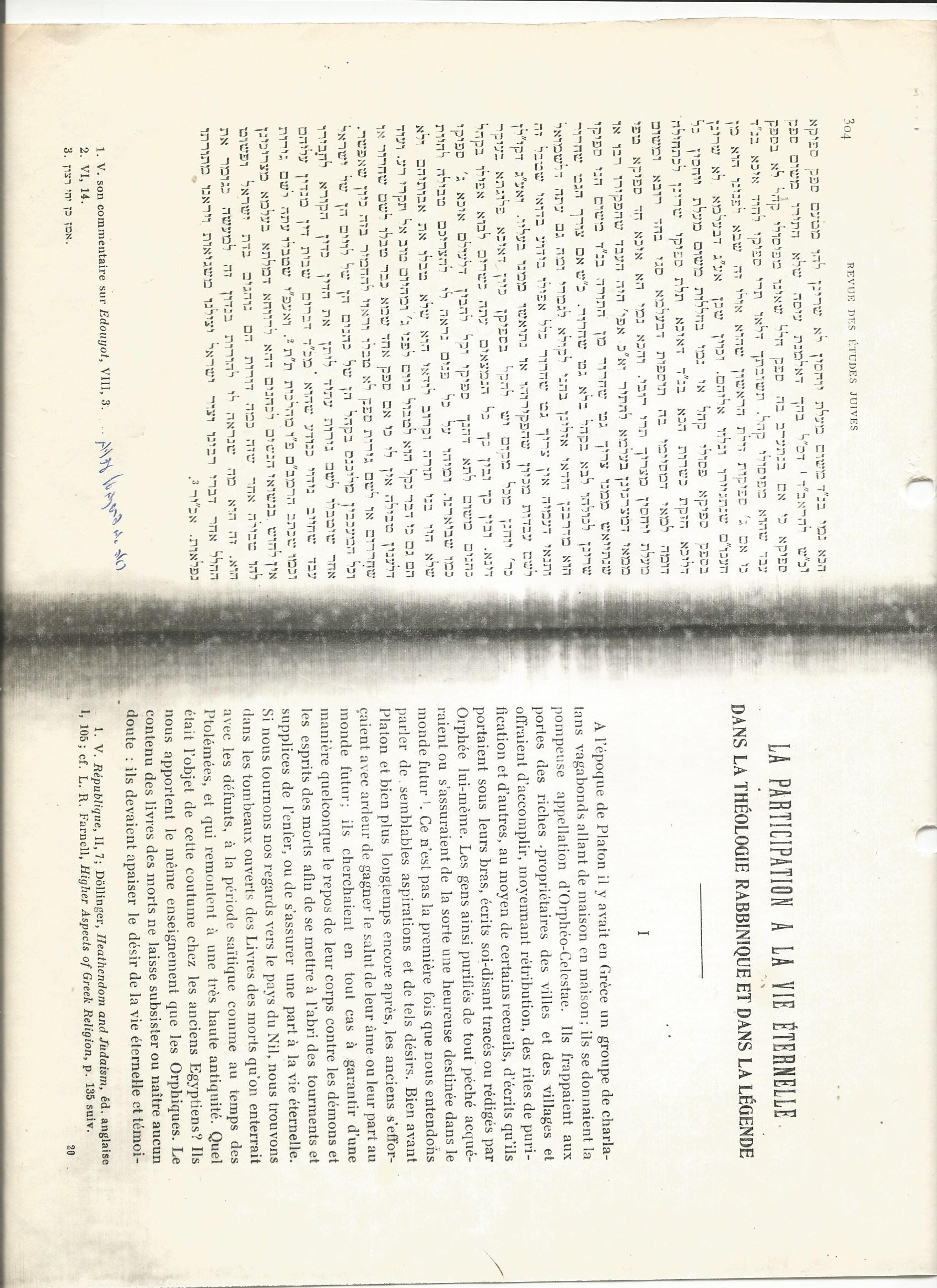 תשובות הרדבז והמהריקש על יהודי קוצין0008.jpg