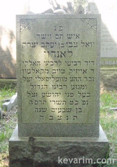 yoel-tzvi-landau.jpg