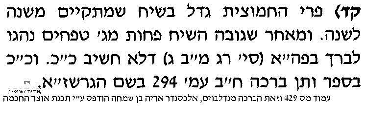 העתקה.png