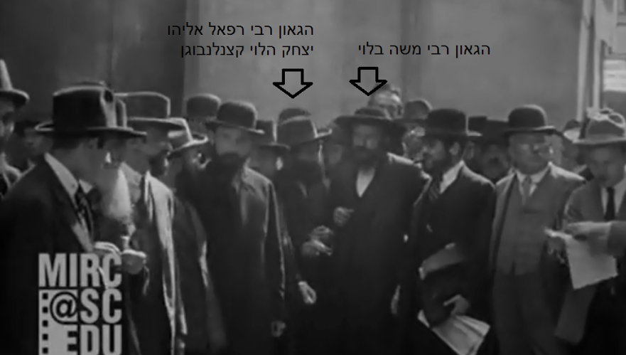 רפאל קצנלבוגן.png