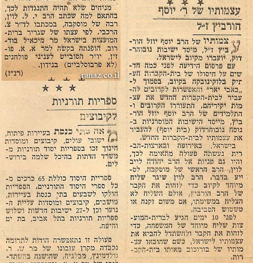 רנז 2.jpg