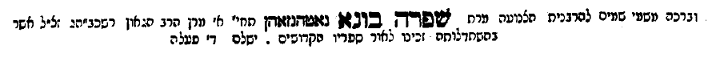 נטנזון.png