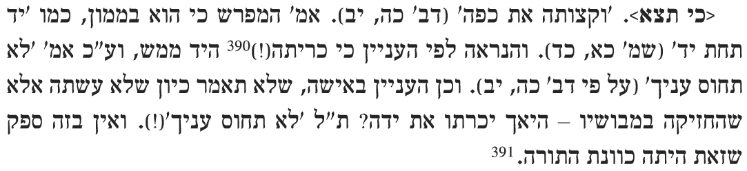 ספר השגות על פירוש רשי לתורה - קובץ על יד כו תשעח.PNG