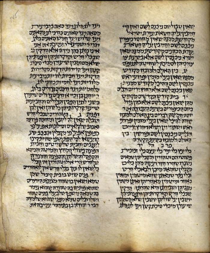 ms50-223r.jpg